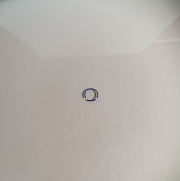 COPY - Blue nose stud - Picture 1 of 3